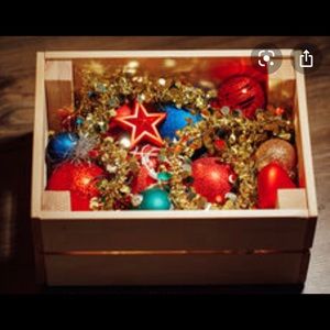On hold for Samantha.. Big box of Christmas decor